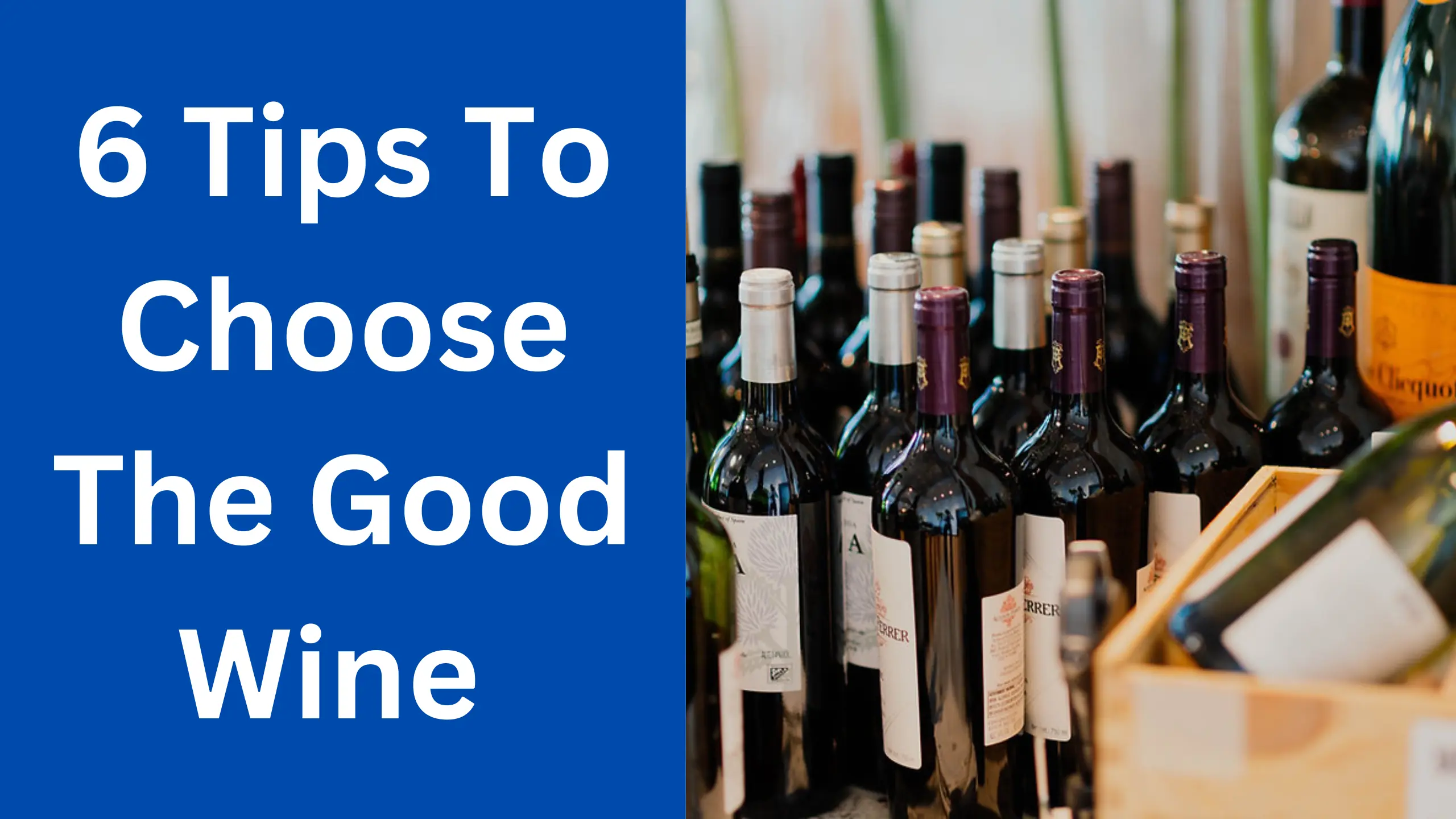 6 Tips To Choose The Good Wine 